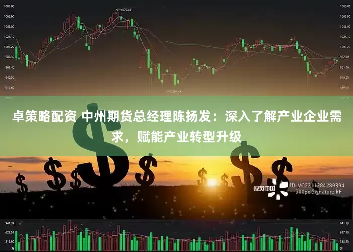 卓策略配资 中州期货总经理陈扬发：深入了解产业企业需求，赋能产业转型升级