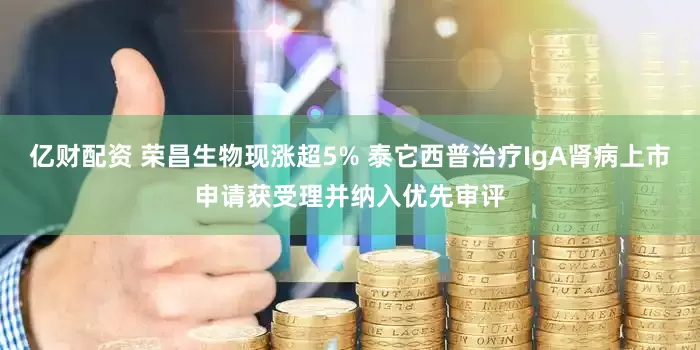 亿财配资 荣昌生物现涨超5% 泰它西普治疗IgA肾病上市申请获受理并纳入优先审评