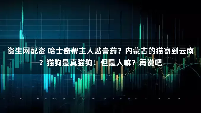 资生网配资 哈士奇帮主人贴膏药？内蒙古的猫寄到云南？猫狗是真猫狗！但是人嘛？再说吧