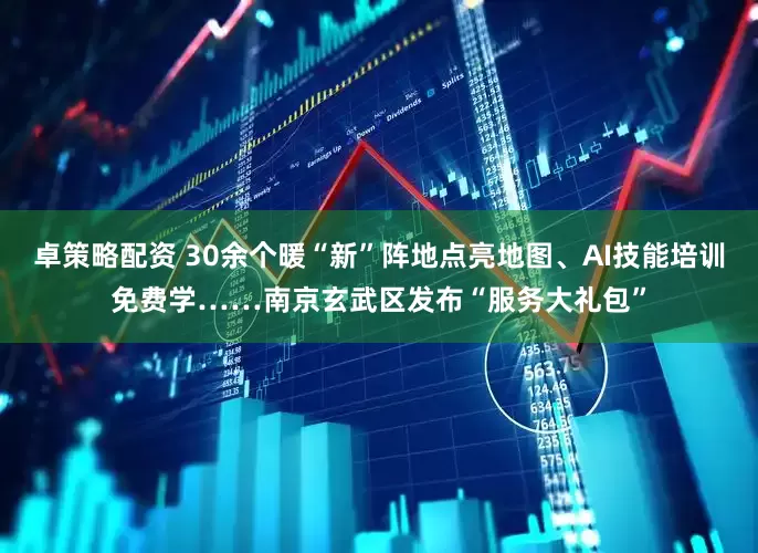卓策略配资 30余个暖“新”阵地点亮地图、AI技能培训免费学……南京玄武区发布“服务大礼包”